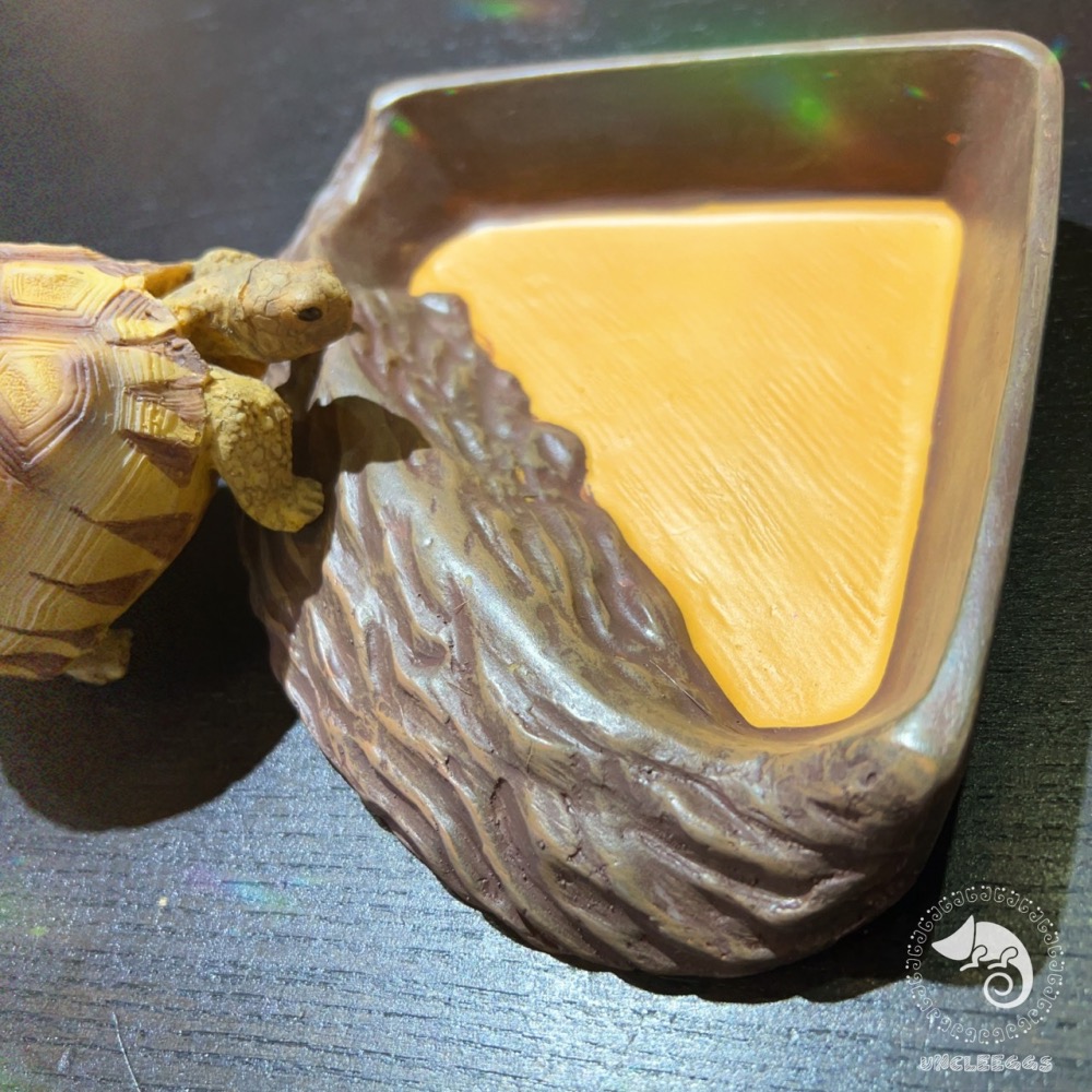 蛋叔叔-三角形餵食盆/A8750/水盆/食盆/水盤/斜坡/角落水盆/直角水盆/陸龜用/蜥蜴用-細節圖8