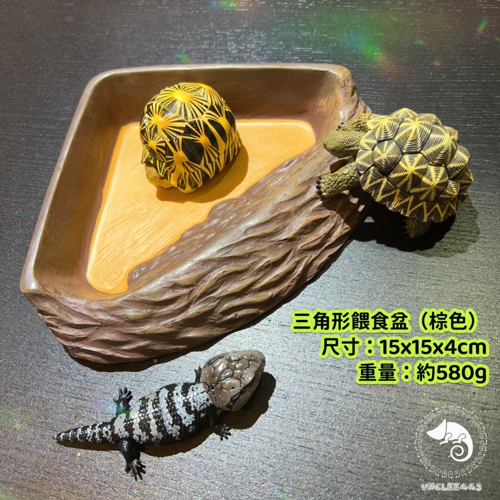 蛋叔叔-三角形餵食盆/A8750/水盆/食盆/水盤/斜坡/角落水盆/直角水盆/陸龜用/蜥蜴用-規格圖10