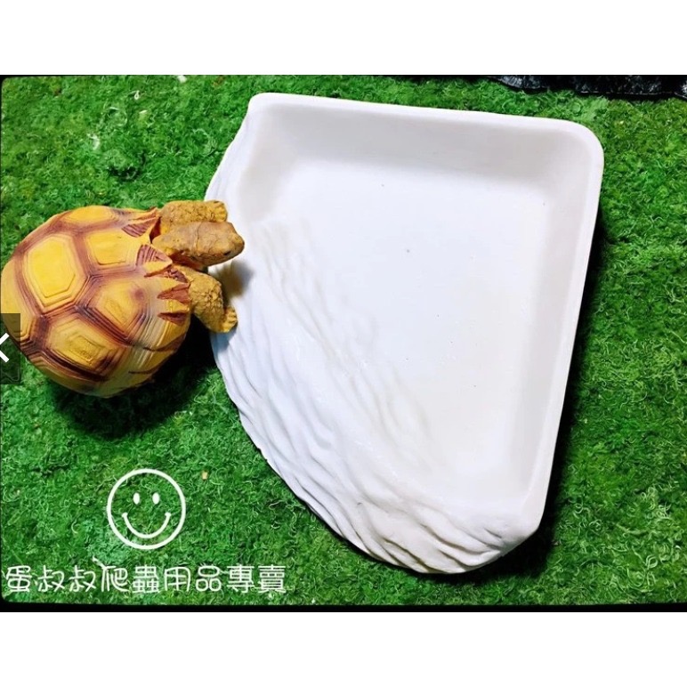 蛋叔叔-三角形餵食盆/A8750/水盆/食盆/水盤/斜坡/角落水盆/直角水盆/陸龜用/蜥蜴用-規格圖10