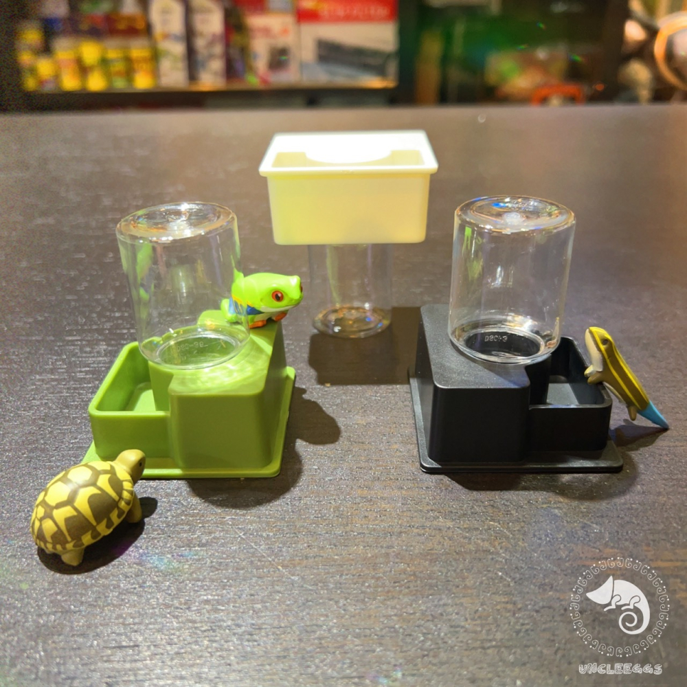 蛋叔叔-NOMO-守宮飲水器/水盆/水皿/水槽盆/貯水槽/水盤/蜘蛛/豹紋守宮/肥尾守宮/蠍子/睫角守宮/保濕/寄居蟹-細節圖3
