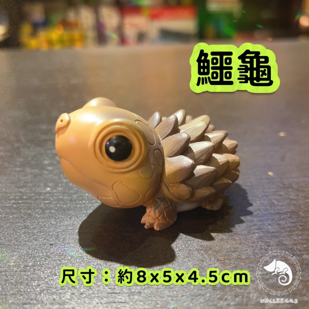 蛋叔叔-NOMO爬蟲公仔/守宮公仔/黑王蛇/變色龍/鱷龜公仔/豹紋守宮/擬鱷龜/高冠變色龍/王蛇/擺飾/標本-細節圖2