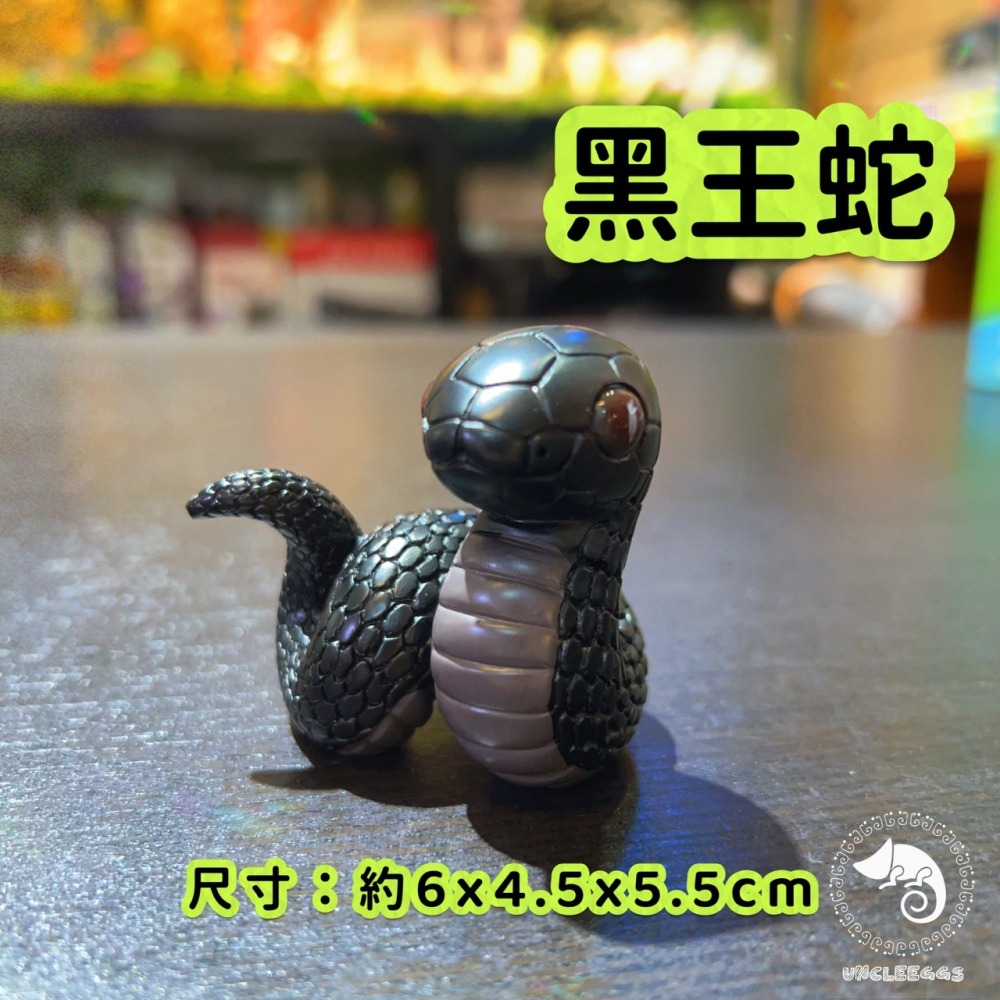 蛋叔叔-NOMO爬蟲公仔/守宮公仔/黑王蛇/變色龍/鱷龜公仔/豹紋守宮/擬鱷龜/高冠變色龍/王蛇/擺飾/標本-細節圖5
