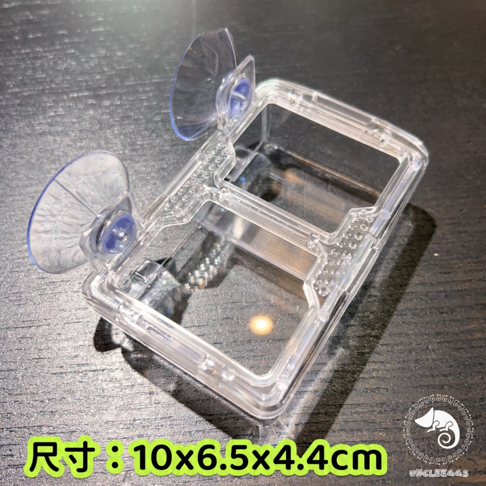 蛋叔叔-NOMO-雙格防逃食盆/樹棲型/防逃逸/水盆/食盆/餵食盆/果泥盆/麵包蟲/度比亞/睫角守宮/巨人守宮/蓋勾亞-細節圖2