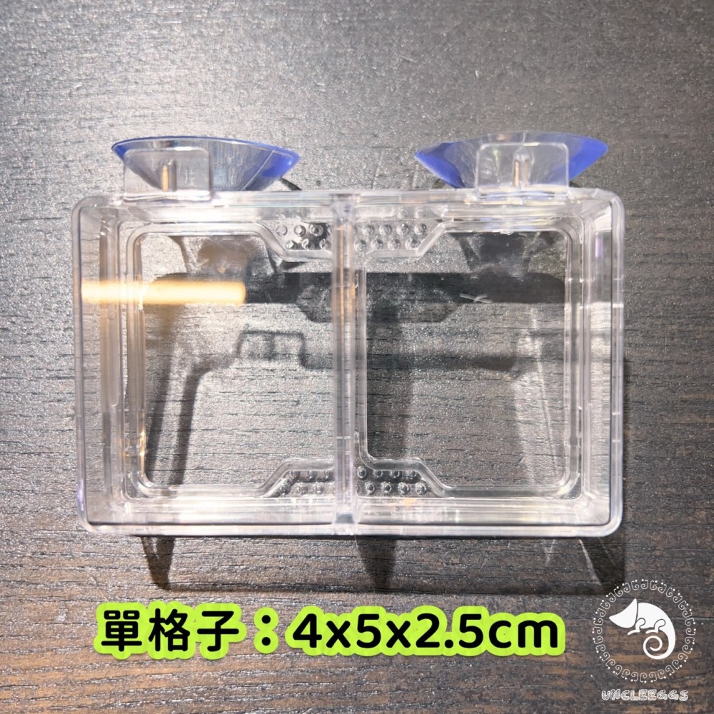 蛋叔叔-NOMO-雙格防逃食盆/樹棲型/防逃逸/水盆/食盆/餵食盆/果泥盆/麵包蟲/度比亞/睫角守宮/巨人守宮/蓋勾亞-細節圖3