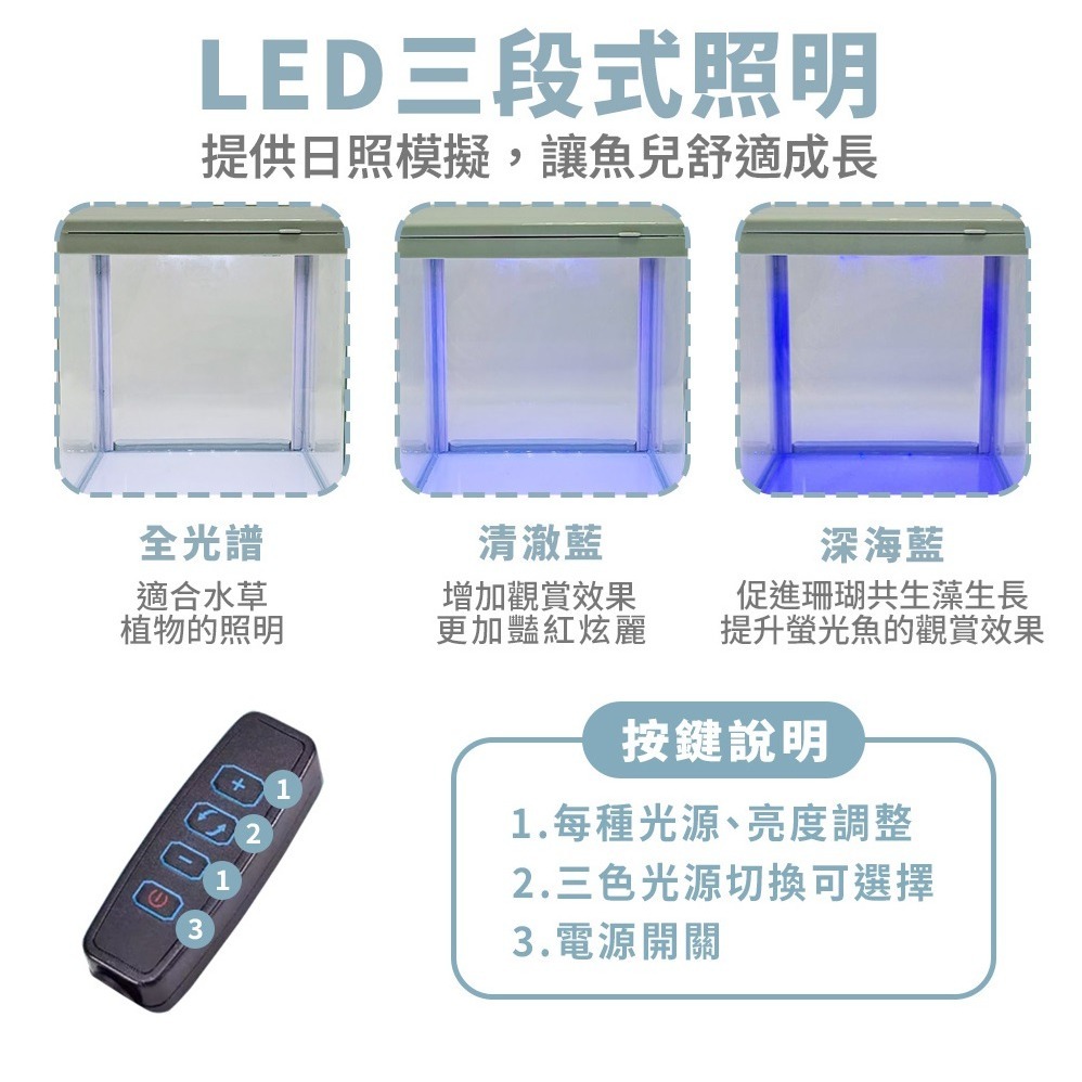 蛋叔叔-小螃蟹-時尚小魚缸/新手缸/鬥魚缸/迷你套缸/孔雀缸/風水缸/隔離缸/招財缸/小型缸/小套缸/開缸/孔雀魚-細節圖2