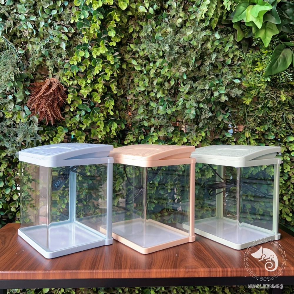 蛋叔叔-小螃蟹-時尚小魚缸/新手缸/鬥魚缸/迷你套缸/孔雀缸/風水缸/隔離缸/招財缸/小型缸/小套缸/開缸/孔雀魚-細節圖6