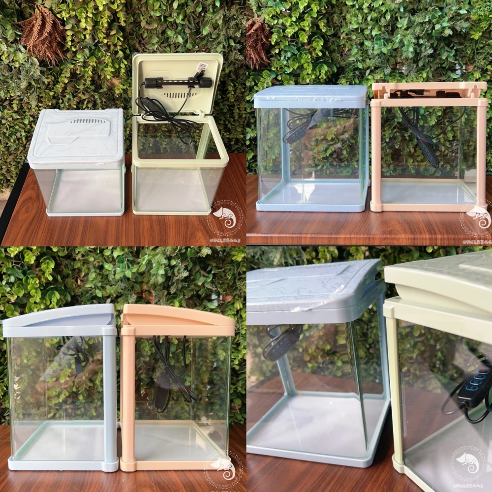 蛋叔叔-小螃蟹-時尚小魚缸/新手缸/鬥魚缸/迷你套缸/孔雀缸/風水缸/隔離缸/招財缸/小型缸/小套缸/開缸/孔雀魚-細節圖7