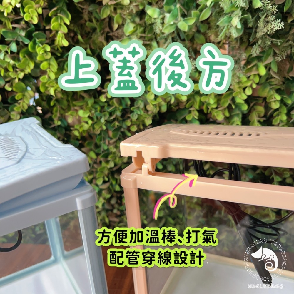 蛋叔叔-小螃蟹-時尚小魚缸/新手缸/鬥魚缸/迷你套缸/孔雀缸/風水缸/隔離缸/招財缸/小型缸/小套缸/開缸/孔雀魚-細節圖8