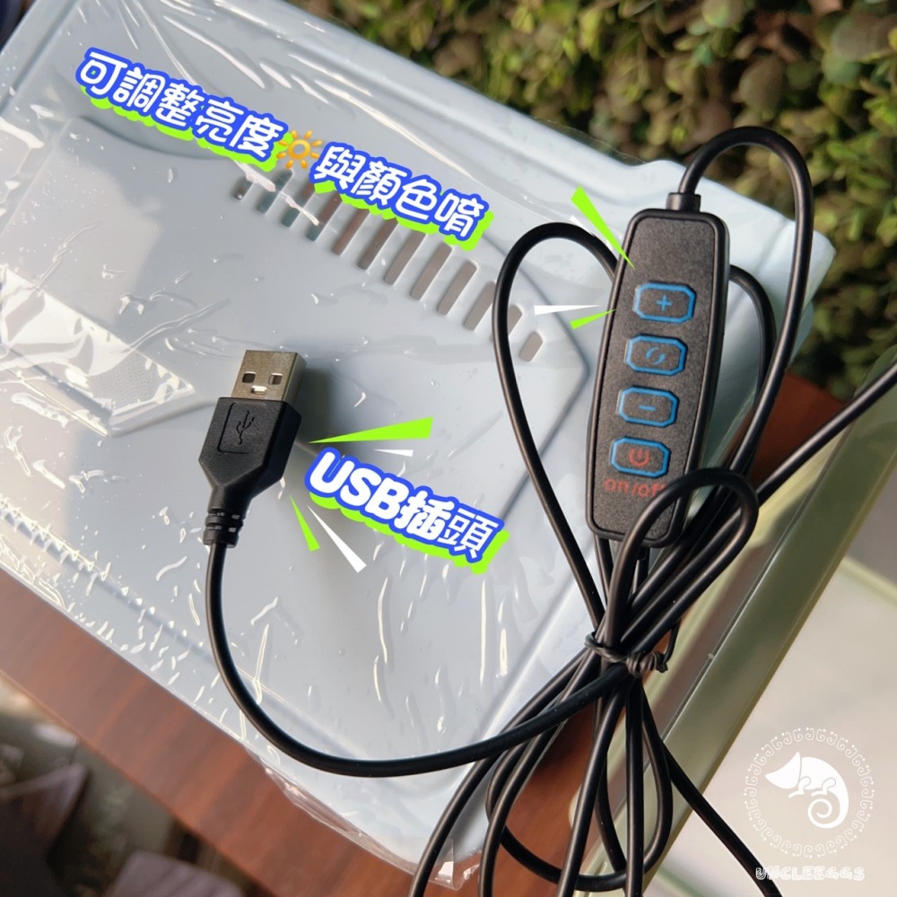 蛋叔叔-小螃蟹-時尚小魚缸/新手缸/鬥魚缸/迷你套缸/孔雀缸/風水缸/隔離缸/招財缸/小型缸/小套缸/開缸/孔雀魚-細節圖9