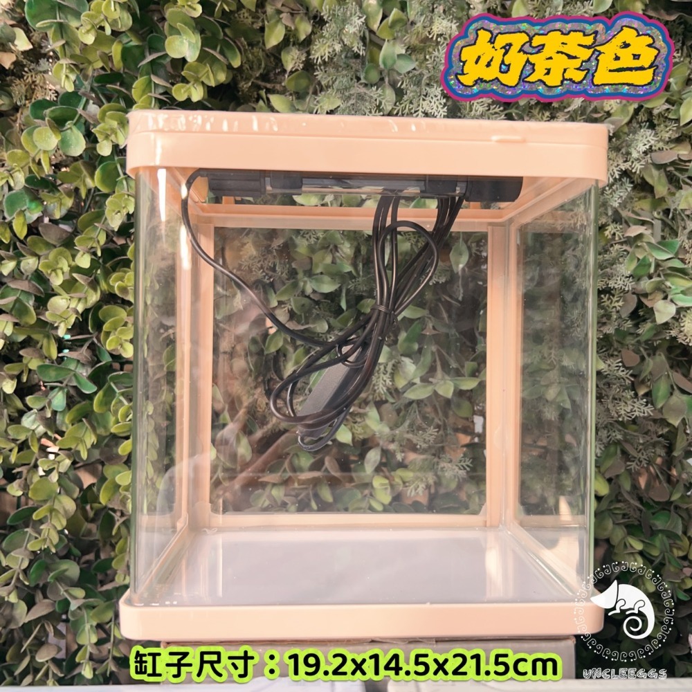 蛋叔叔-小螃蟹-時尚小魚缸/新手缸/鬥魚缸/迷你套缸/孔雀缸/風水缸/隔離缸/招財缸/小型缸/小套缸/開缸/孔雀魚-規格圖9