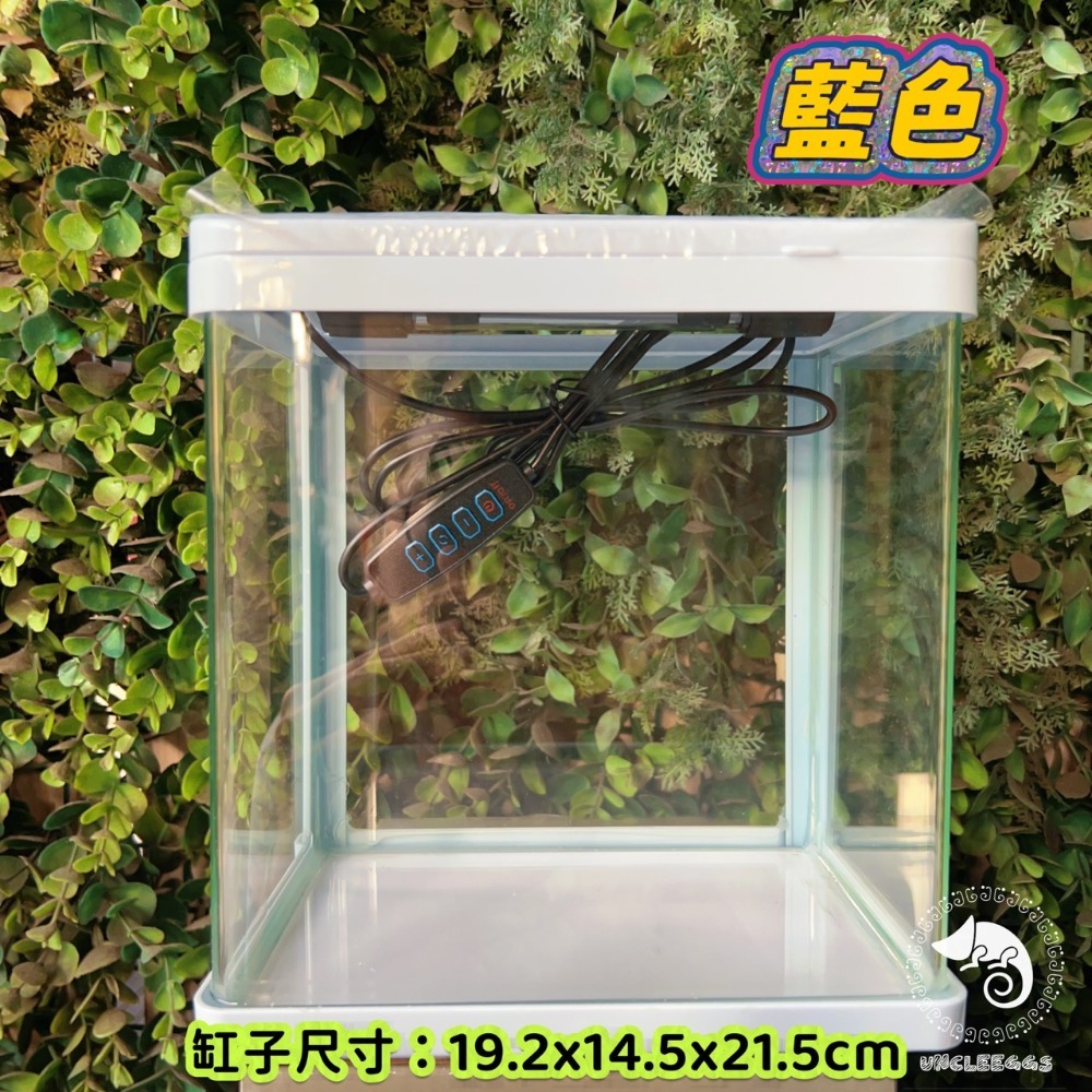 蛋叔叔-小螃蟹-時尚小魚缸/新手缸/鬥魚缸/迷你套缸/孔雀缸/風水缸/隔離缸/招財缸/小型缸/小套缸/開缸/孔雀魚-規格圖9