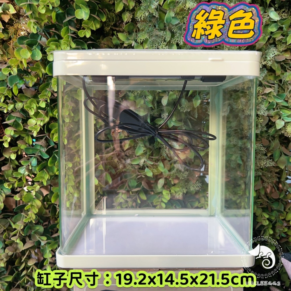 蛋叔叔-小螃蟹-時尚小魚缸/新手缸/鬥魚缸/迷你套缸/孔雀缸/風水缸/隔離缸/招財缸/小型缸/小套缸/開缸/孔雀魚-規格圖9