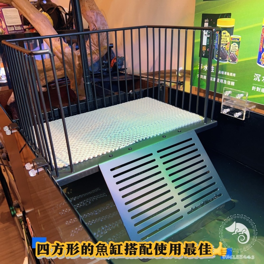 蛋叔叔【預購】不鏽鋼掛勾爬台/烏龜/水龜/曬台/浮台/曬背/防逃/休息台/浮島/爬梯/設計缸/鑽紋龜/台灣龜/巴西龜-細節圖10