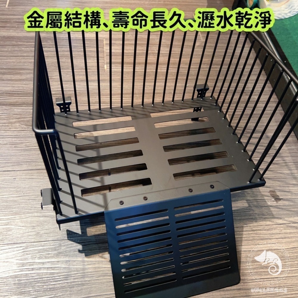 蛋叔叔-不鏽鋼掛勾爬台/烏龜/水龜/曬台/浮台/曬背/防逃/休息台/浮島/爬梯/設計缸/鑽紋龜/台灣龜-細節圖4
