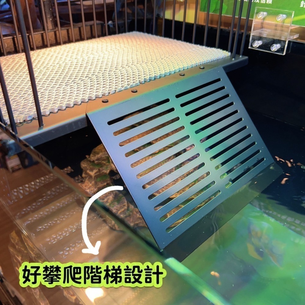 蛋叔叔-不鏽鋼掛勾爬台/烏龜/水龜/曬台/浮台/曬背/防逃/休息台/浮島/爬梯/設計缸/鑽紋龜/台灣龜-細節圖5