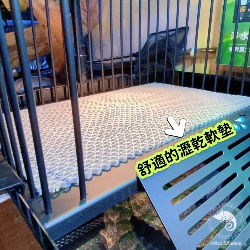 蛋叔叔-不鏽鋼掛勾爬台/烏龜/水龜/曬台/浮台/曬背/防逃/休息台/浮島/爬梯/設計缸/鑽紋龜/台灣龜-細節圖6