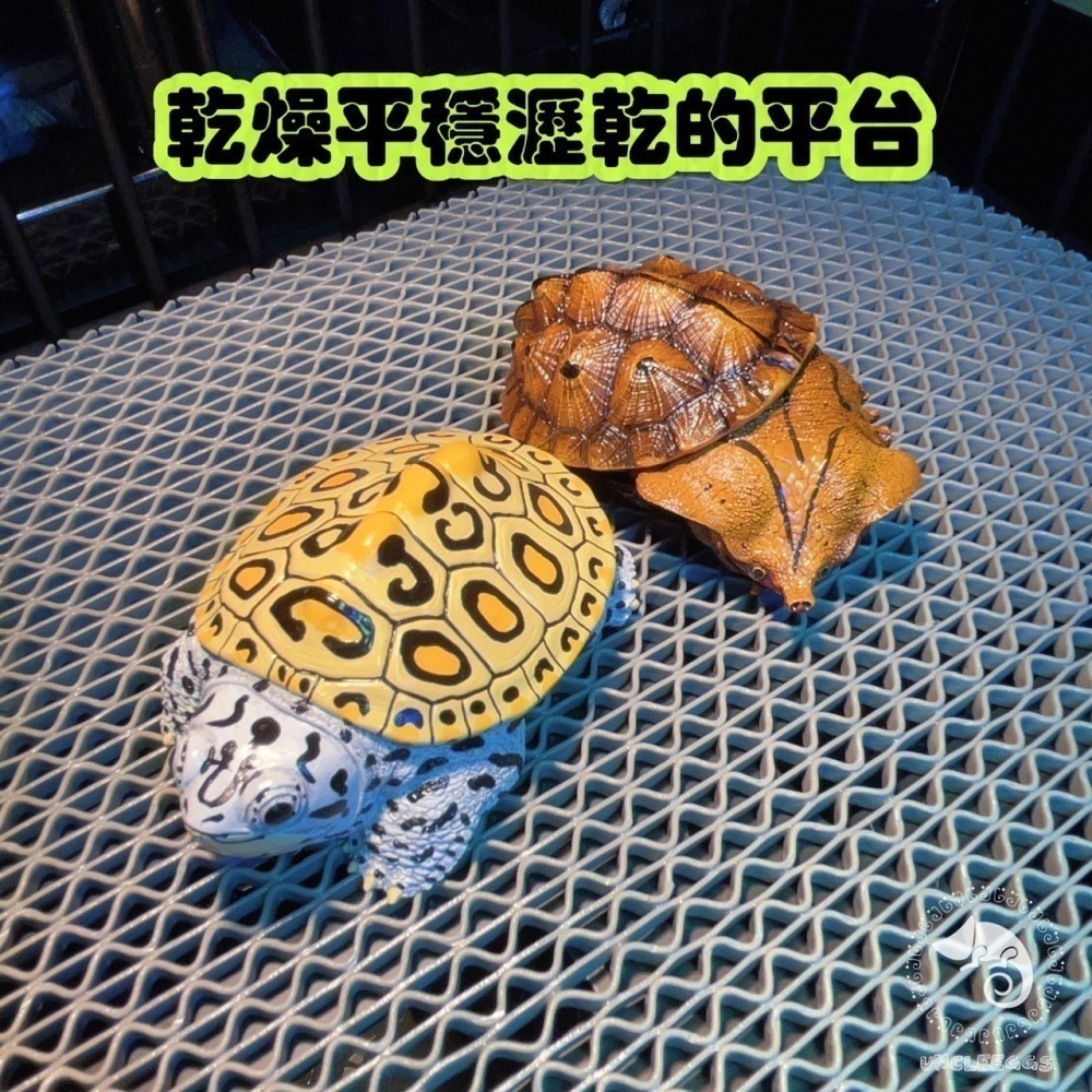 蛋叔叔-不鏽鋼掛勾爬台/烏龜/水龜/曬台/浮台/曬背/防逃/休息台/浮島/爬梯/設計缸/鑽紋龜/台灣龜-細節圖7
