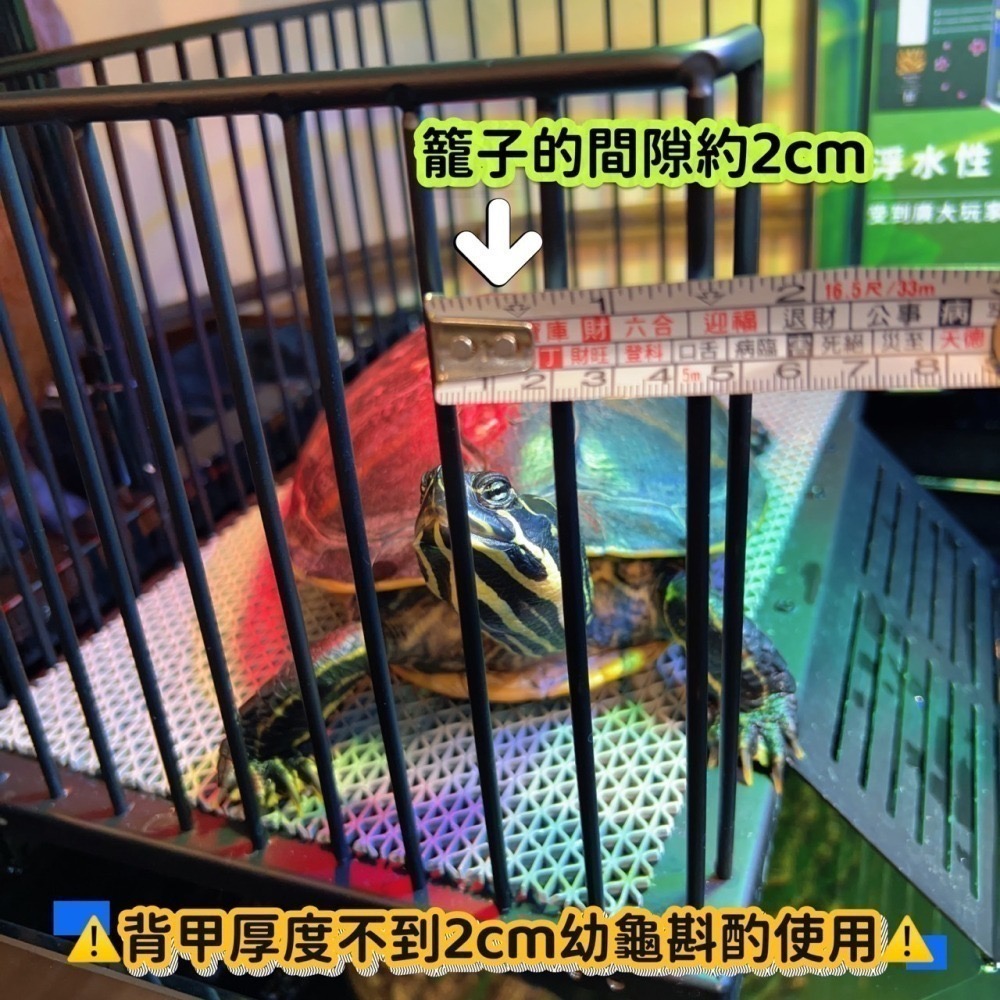 蛋叔叔-不鏽鋼掛勾爬台/烏龜/水龜/曬台/浮台/曬背/防逃/休息台/浮島/爬梯/設計缸/鑽紋龜/台灣龜-細節圖10