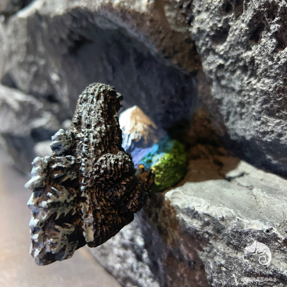 蛋叔叔-哥吉拉x富士山限量立體磁鐵/ゴジラ/頭雕/浮世繪/磁吸式/Goodzila/MountFuji/ふじさん/怪獸王-細節圖5