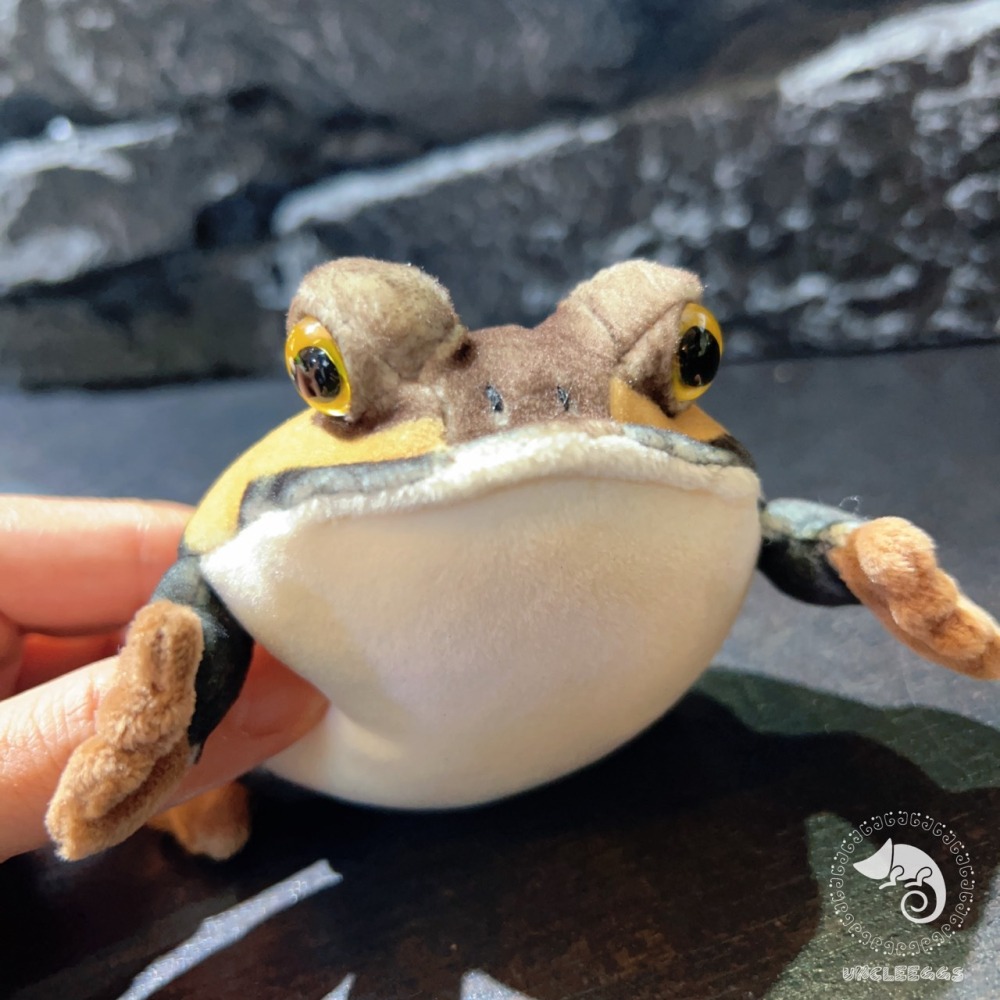 蛋叔叔【限量】饅頭蛙娃娃/Rain frog/雨蛙/親膚材質/吊飾/掛飾/毛絨玩具/散疣短頭蛙/鑰匙圈/療育公仔-細節圖3
