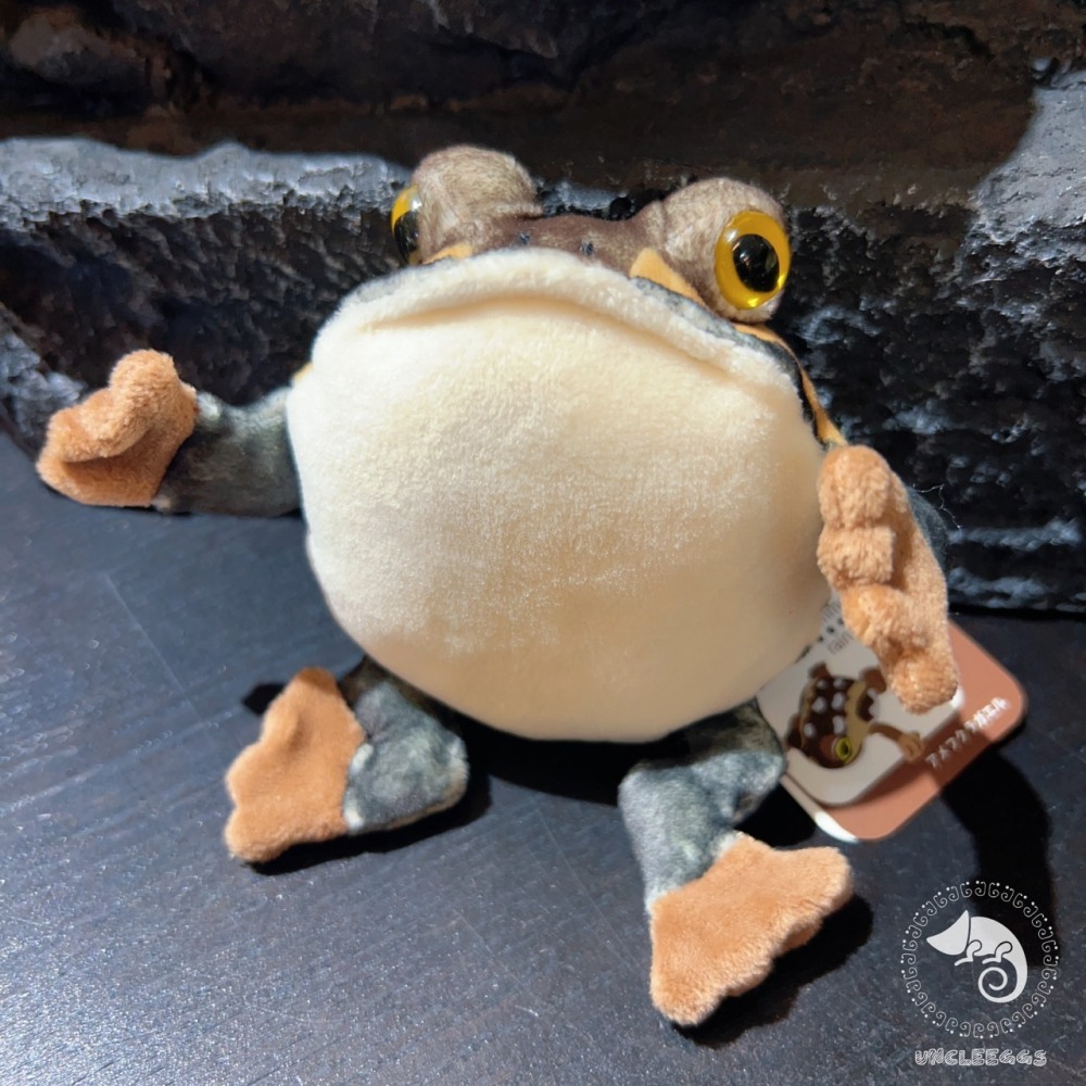 蛋叔叔【限量】饅頭蛙娃娃/Rain frog/雨蛙/親膚材質/吊飾/掛飾/毛絨玩具/散疣短頭蛙/鑰匙圈/療育公仔-細節圖5