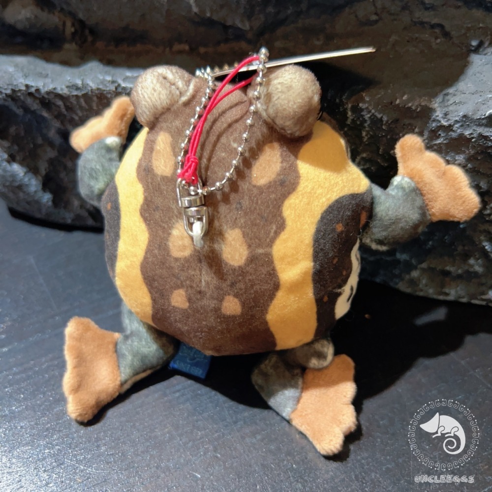 蛋叔叔【限量】饅頭蛙娃娃/Rain frog/雨蛙/親膚材質/吊飾/掛飾/毛絨玩具/散疣短頭蛙/鑰匙圈/療育公仔-細節圖6