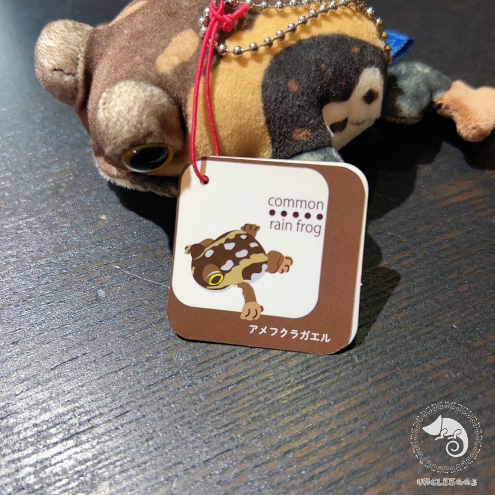 蛋叔叔【限量】饅頭蛙娃娃/Rain frog/雨蛙/親膚材質/吊飾/掛飾/毛絨玩具/散疣短頭蛙/鑰匙圈/療育公仔-細節圖8