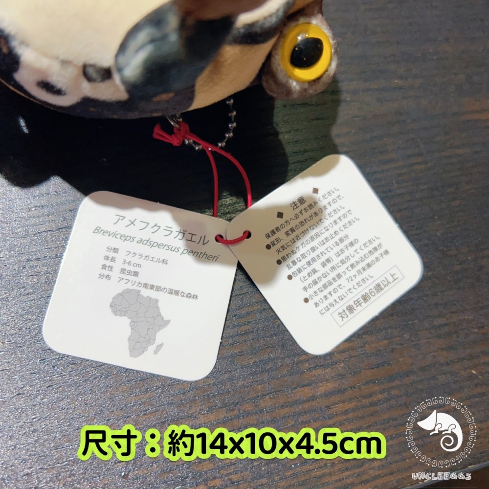 蛋叔叔【限量】饅頭蛙娃娃/Rain frog/雨蛙/親膚材質/吊飾/掛飾/毛絨玩具/散疣短頭蛙/鑰匙圈/療育公仔-細節圖9