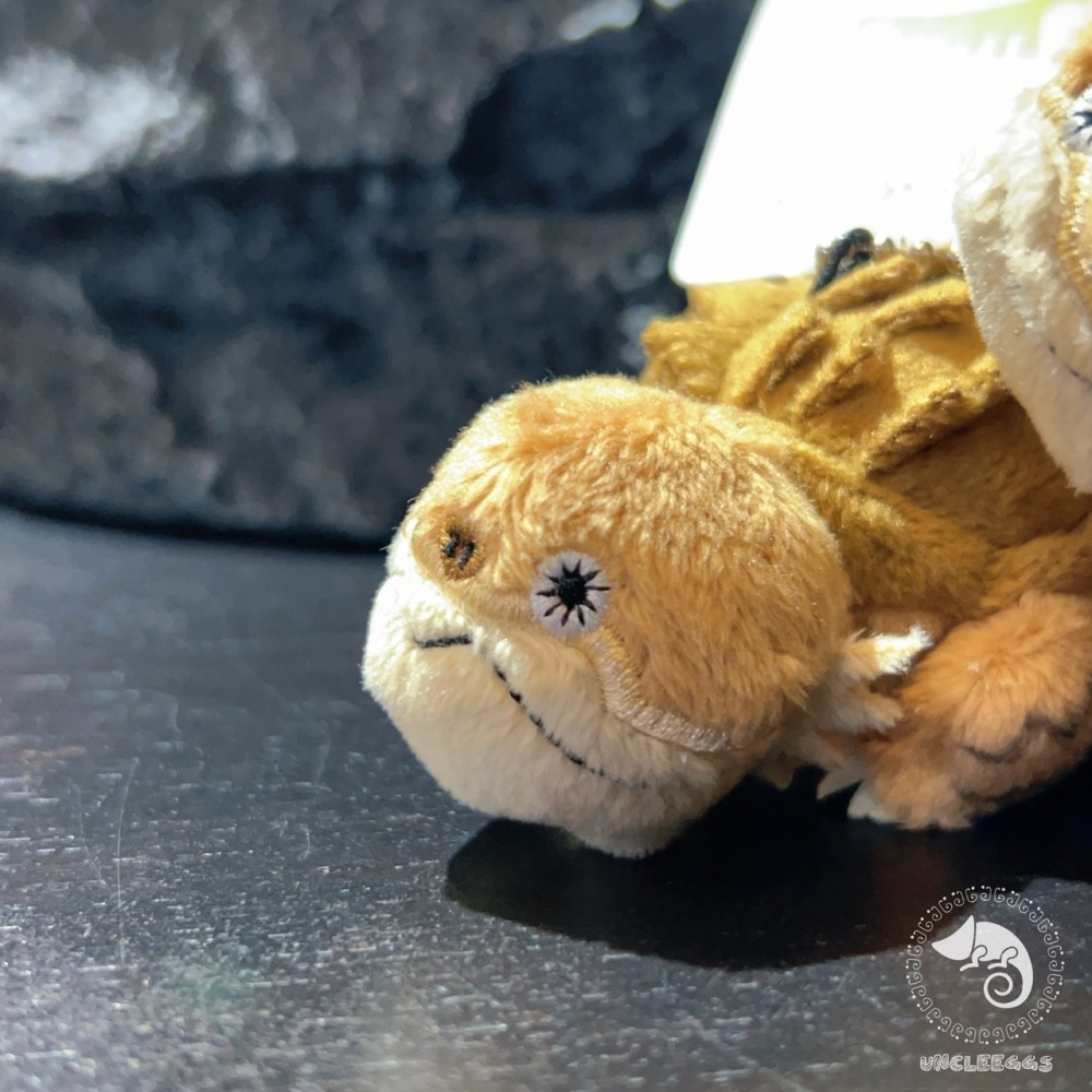 蛋叔叔【限量】日本天王寺動物園-鱷龜娃娃/真鱷龜/擬鱷龜/吊飾/掛飾/毛絨玩具/立體圖鑑/庫巴/卡美拉-細節圖4