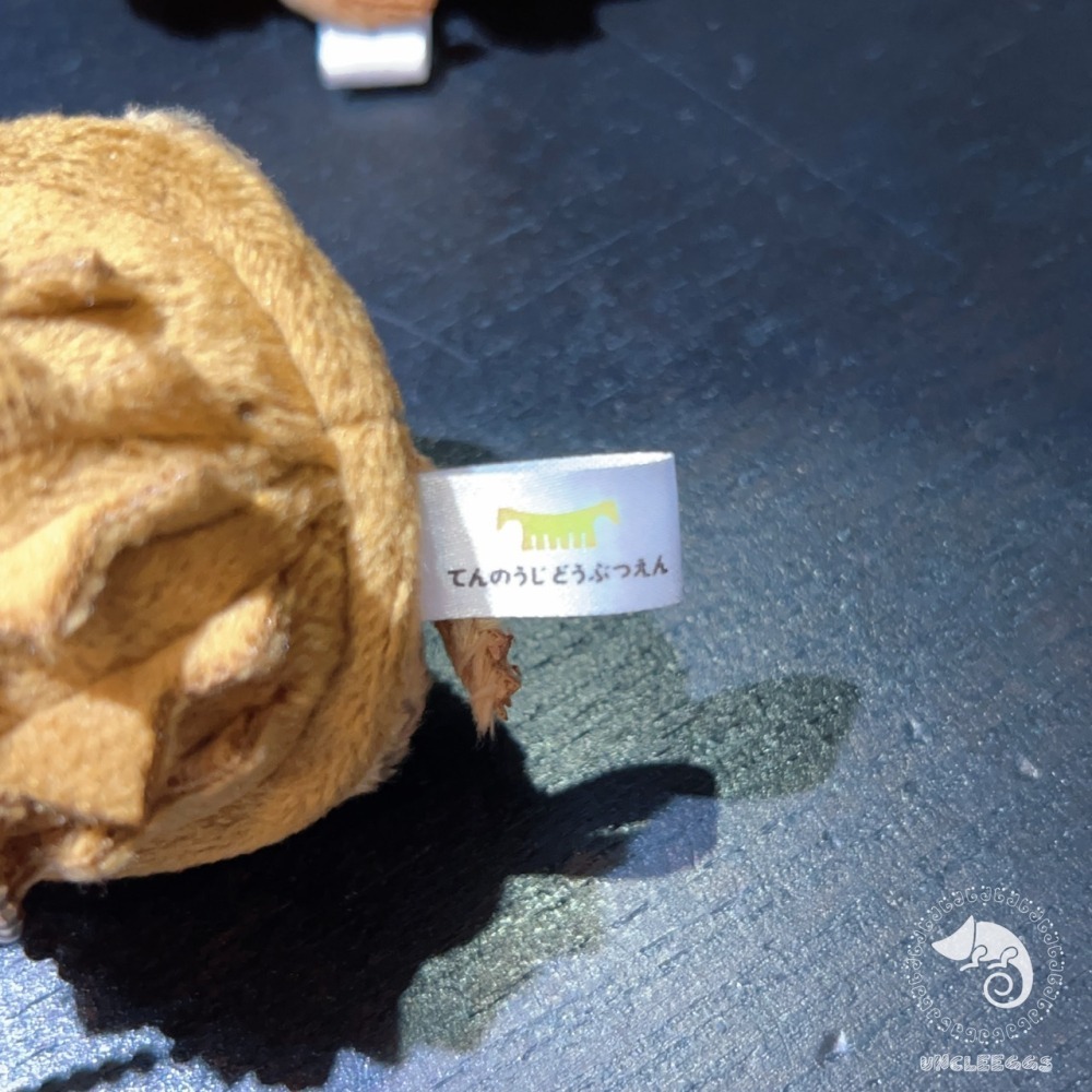 蛋叔叔【限量】日本天王寺動物園-鱷龜娃娃/真鱷龜/擬鱷龜/吊飾/掛飾/毛絨玩具/立體圖鑑/庫巴/卡美拉-細節圖7