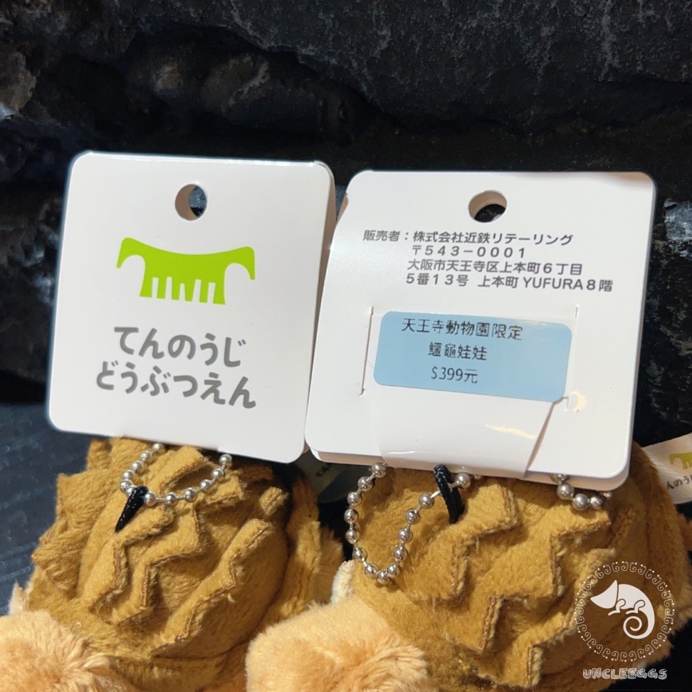 蛋叔叔【限量】日本天王寺動物園-鱷龜娃娃/真鱷龜/擬鱷龜/吊飾/掛飾/毛絨玩具/立體圖鑑/庫巴/卡美拉-細節圖9