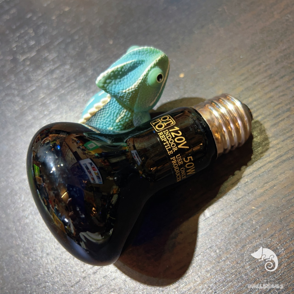 蛋叔叔-爬蟲月光保溫燈泡/取暖燈/加溫燈/低光源/夜間用/樹蛙/蜜袋鼯/陸龜/巨蜥/睫角/變色龍/鬆獅蜥/加熱燈-細節圖4