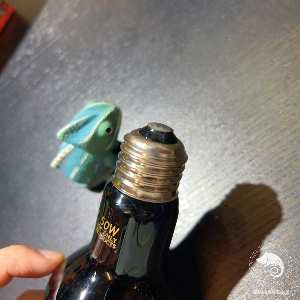 蛋叔叔-爬蟲月光保溫燈泡/取暖燈/加溫燈/低光源/夜間用/樹蛙/蜜袋鼯/陸龜/巨蜥/睫角/變色龍/鬆獅蜥/加熱燈-細節圖5