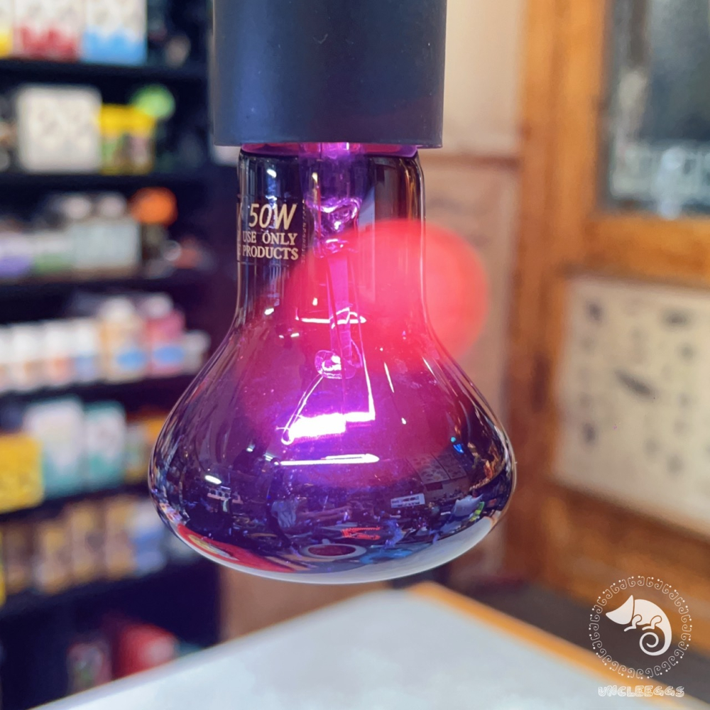 蛋叔叔-爬蟲月光保溫燈泡/取暖燈/加溫燈/低光源/夜間用/樹蛙/蜜袋鼯/陸龜/巨蜥/睫角/變色龍/鬆獅蜥/加熱燈-細節圖6