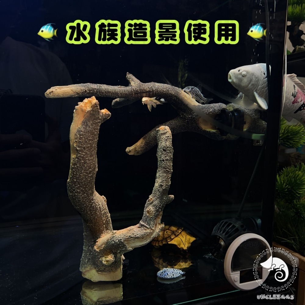 蛋叔叔-MR吸盤式樹枝/爬台/攀爬棒/造景木/棲息木/海芙蓉/海芙蓉/樹枝/造景木/攀爬棍/軟木棍/樹藤/木棒-細節圖2