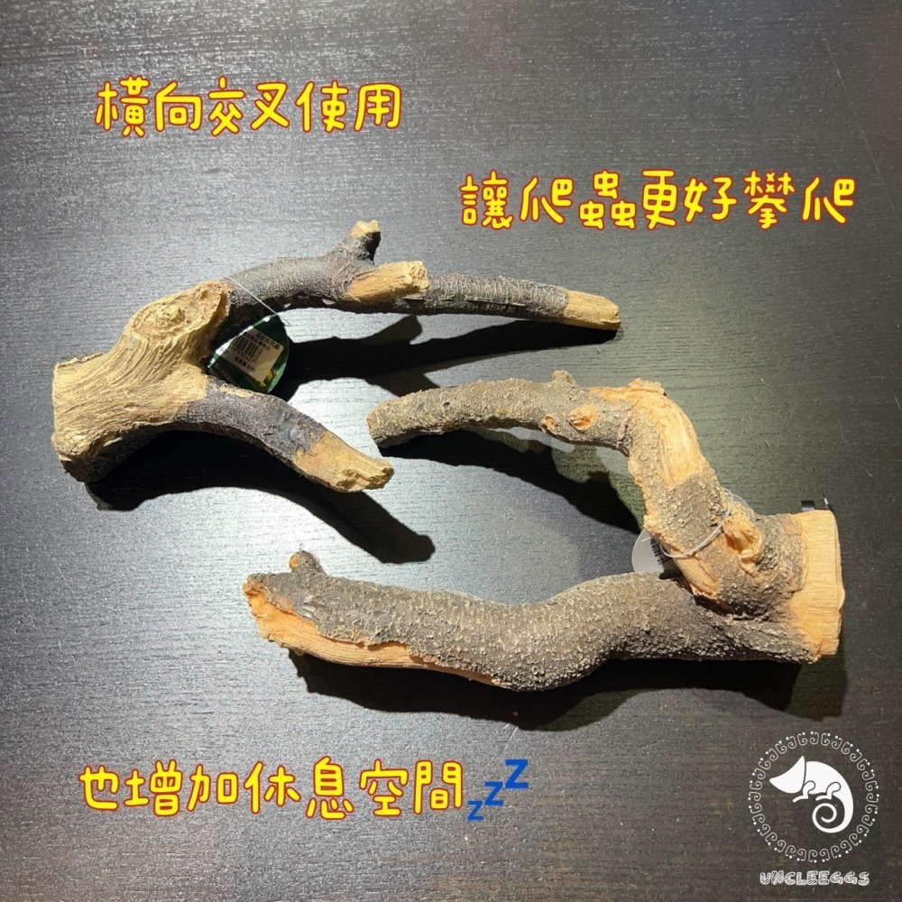 蛋叔叔-MR吸盤式樹枝/爬台/攀爬棒/造景木/棲息木/海芙蓉/海芙蓉/樹枝/造景木/攀爬棍/軟木棍/樹藤/木棒-細節圖4