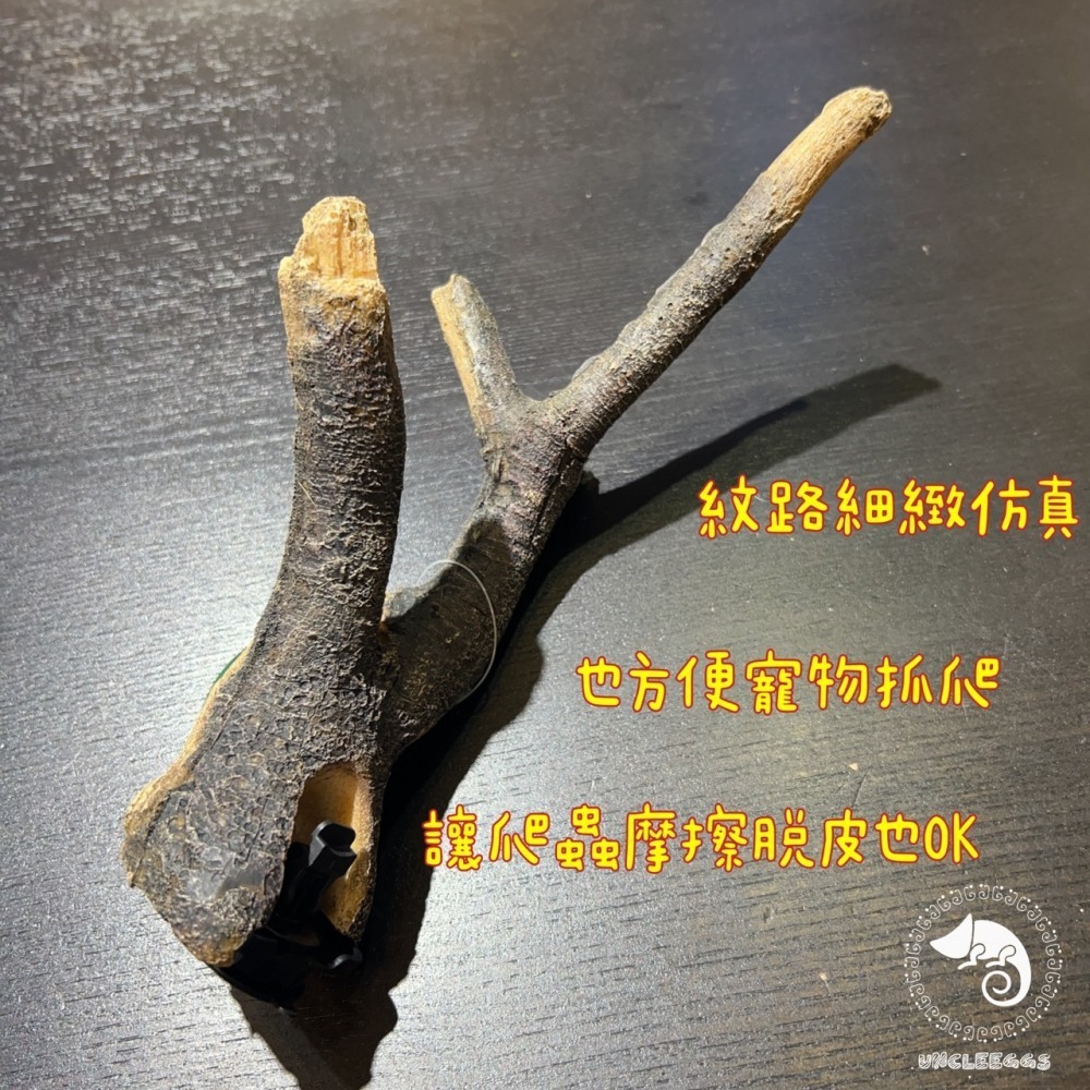 蛋叔叔-MR吸盤式樹枝/爬台/攀爬棒/造景木/棲息木/海芙蓉/海芙蓉/樹枝/造景木/攀爬棍/軟木棍/樹藤/木棒-細節圖5