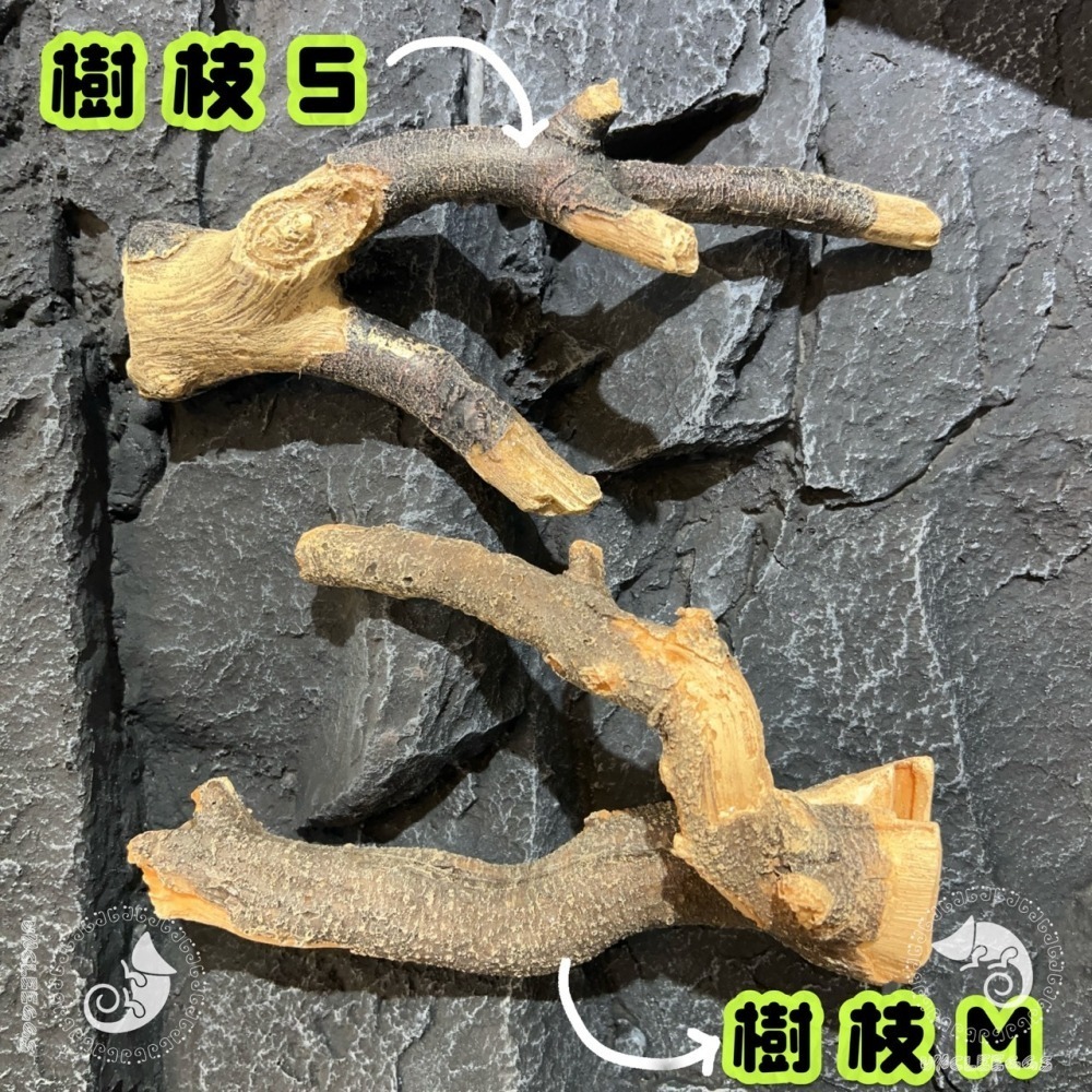 蛋叔叔-MR吸盤式樹枝/爬台/攀爬棒/造景木/棲息木/海芙蓉/海芙蓉/樹枝/造景木/攀爬棍/軟木棍/樹藤/木棒-細節圖11