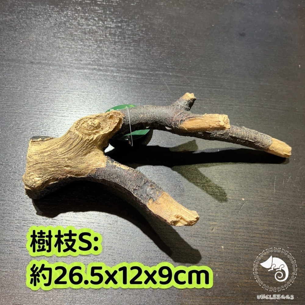 蛋叔叔-MR吸盤式樹枝/爬台/攀爬棒/造景木/棲息木/海芙蓉/海芙蓉/樹枝/造景木/攀爬棍/軟木棍/樹藤/木棒-規格圖11