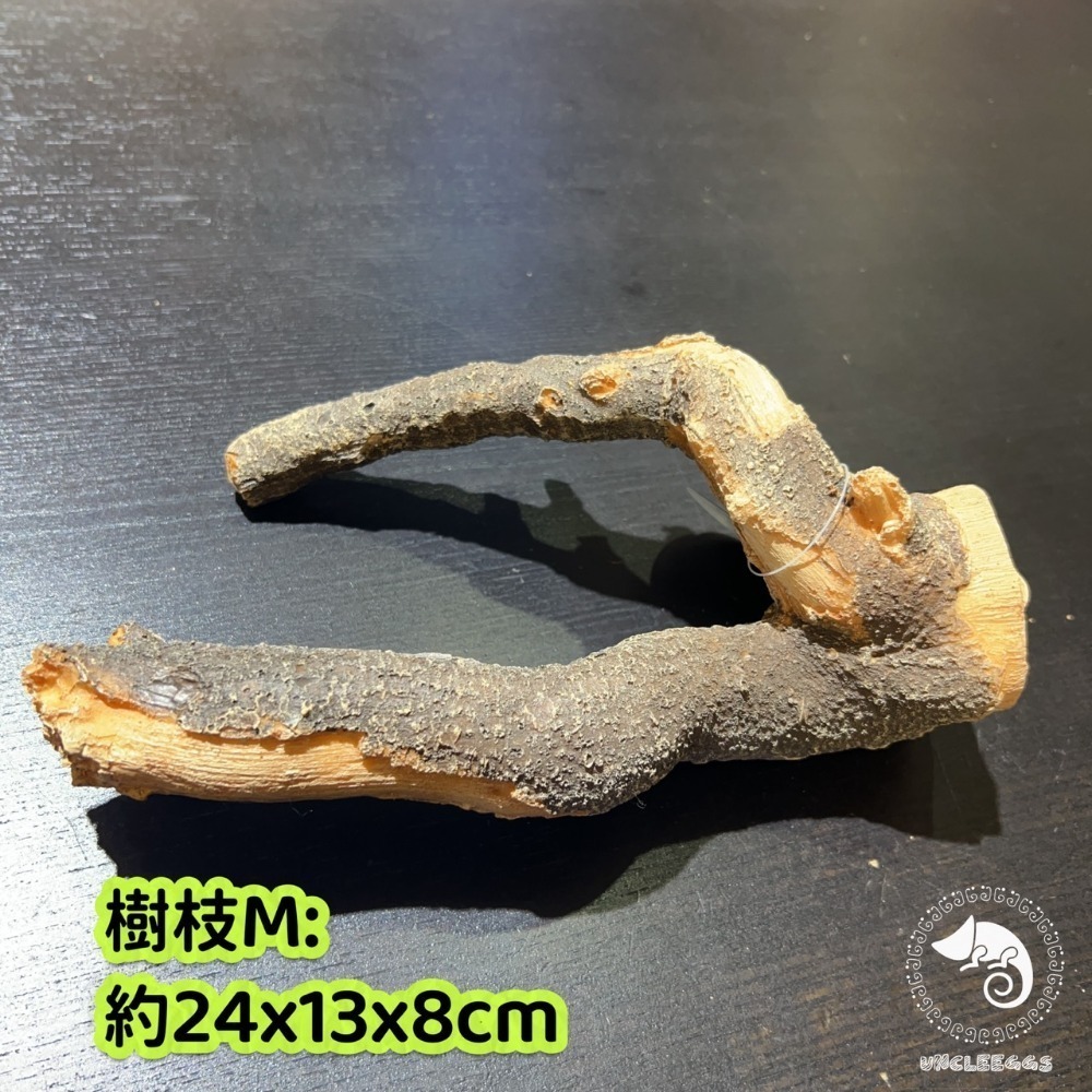 蛋叔叔-MR吸盤式樹枝/爬台/攀爬棒/造景木/棲息木/海芙蓉/海芙蓉/樹枝/造景木/攀爬棍/軟木棍/樹藤/木棒-規格圖11
