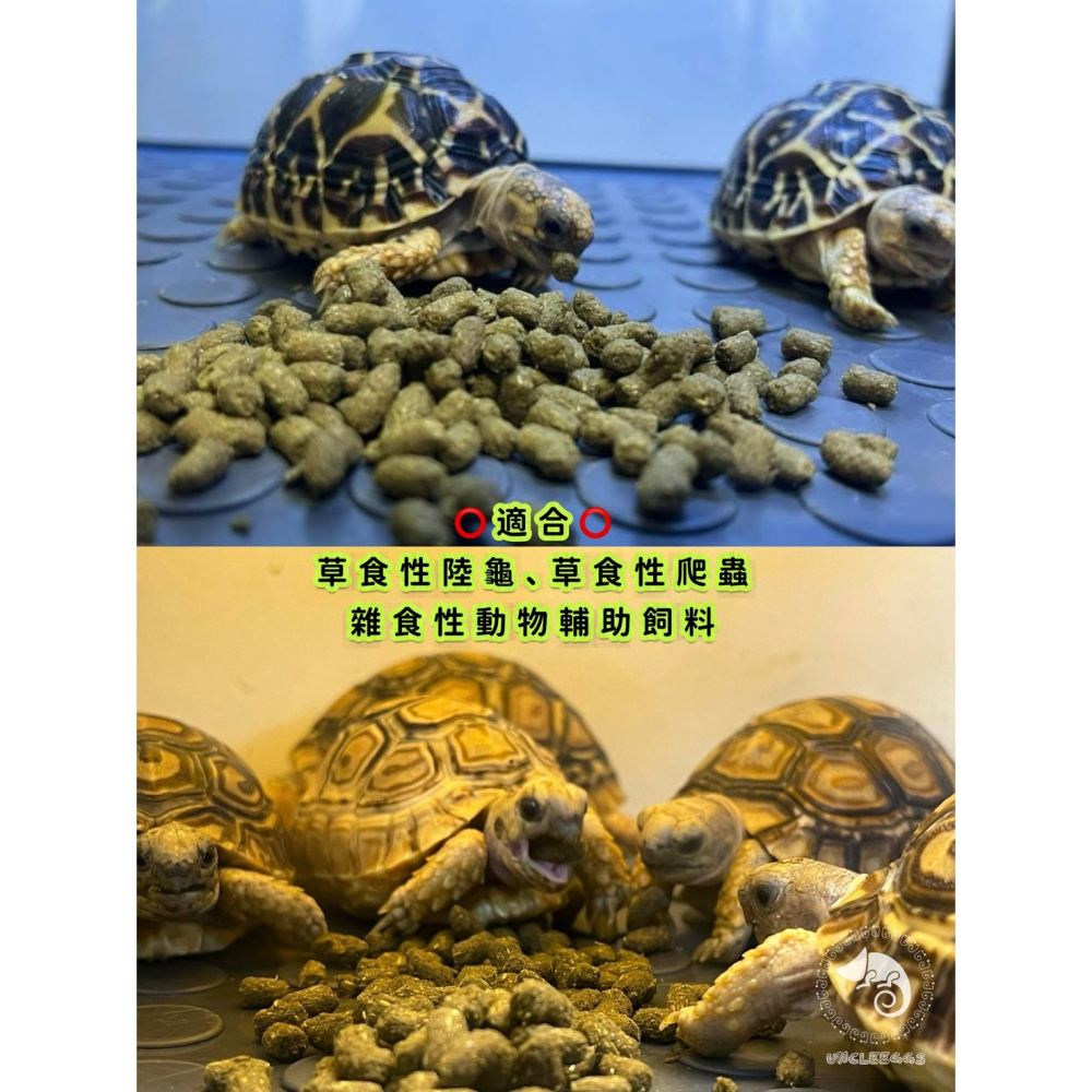 蛋叔叔-維益特-陸龜草本全效飼料/陸龜飼料/烏龜飼料/全天然/益生菌/高纖維/維他命/草本飼料/幼龜飼料/酵素/蘇卡達-細節圖2
