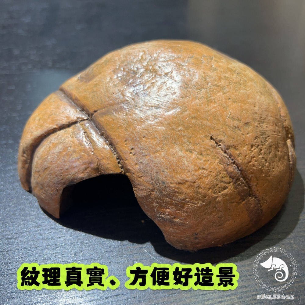 蛋叔叔-爬蟲先生-爬寵躲避屋-石洞/守宮洞/守宮屋/洞穴/造景/保濕/劍毒蛙/玉米蛇/蠍子/蜘蛛/躲避屋/冷點/睡窩-細節圖3