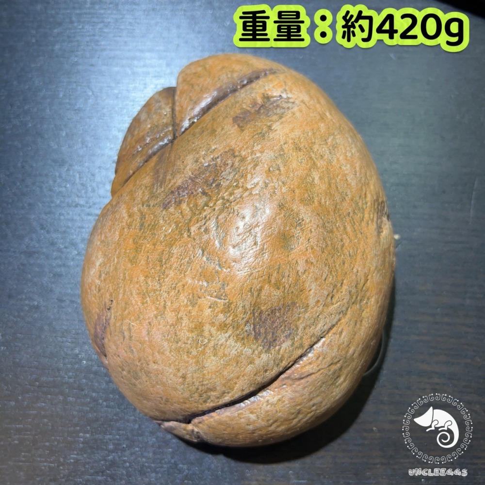 蛋叔叔-爬蟲先生-爬寵躲避屋-石洞/守宮洞/守宮屋/洞穴/造景/保濕/劍毒蛙/玉米蛇/蠍子/蜘蛛/躲避屋/冷點/睡窩-細節圖6