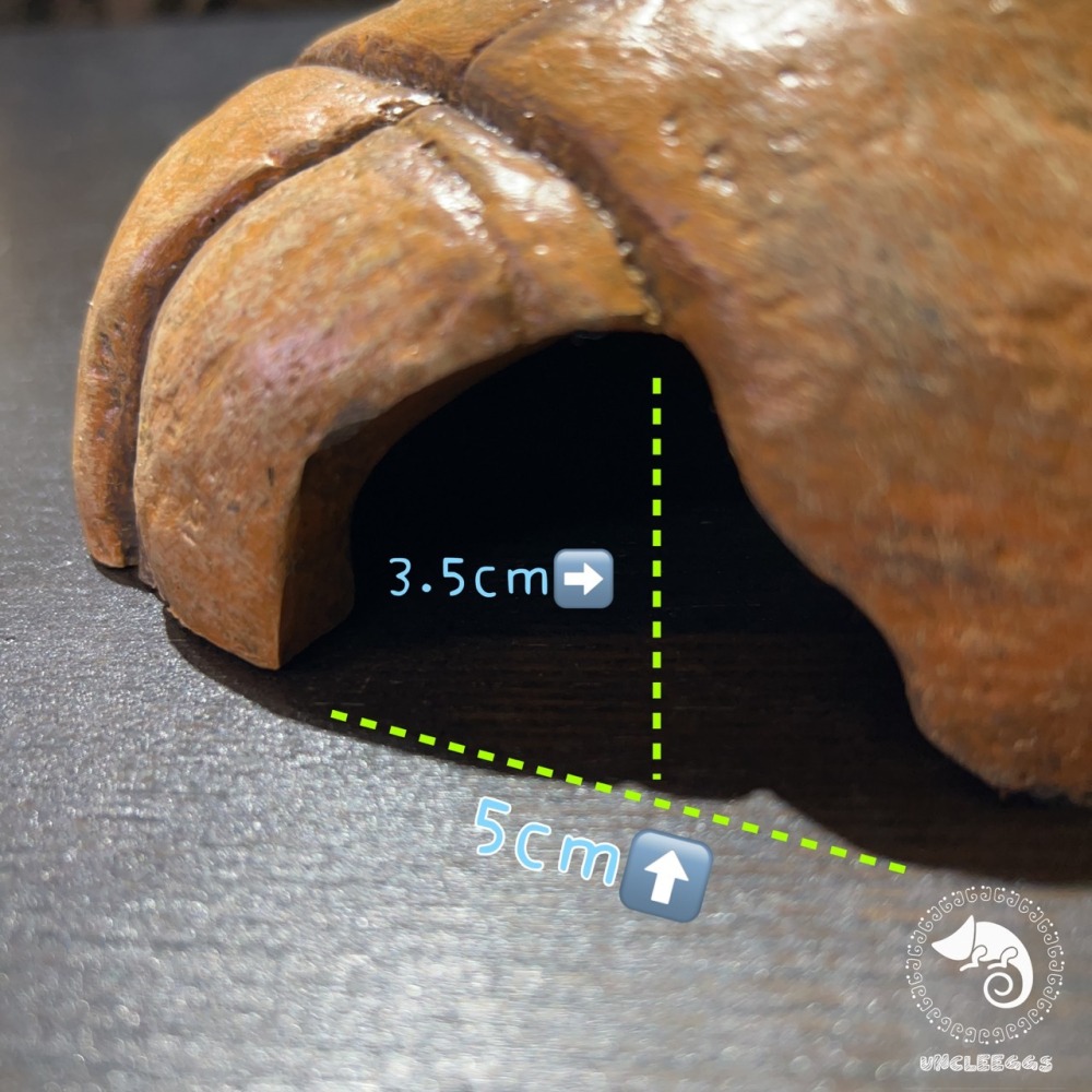 蛋叔叔-爬蟲先生-爬寵躲避屋-石洞/守宮洞/守宮屋/洞穴/造景/保濕/劍毒蛙/玉米蛇/蠍子/蜘蛛/躲避屋/冷點/睡窩-細節圖7
