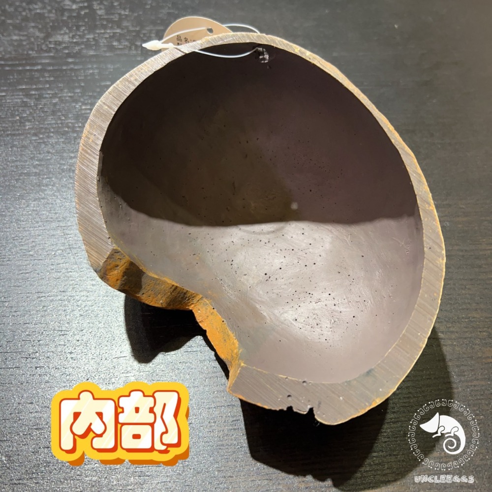 蛋叔叔-爬蟲先生-爬寵躲避屋-石洞/守宮洞/守宮屋/洞穴/造景/保濕/劍毒蛙/玉米蛇/蠍子/蜘蛛/躲避屋/冷點/睡窩-細節圖9