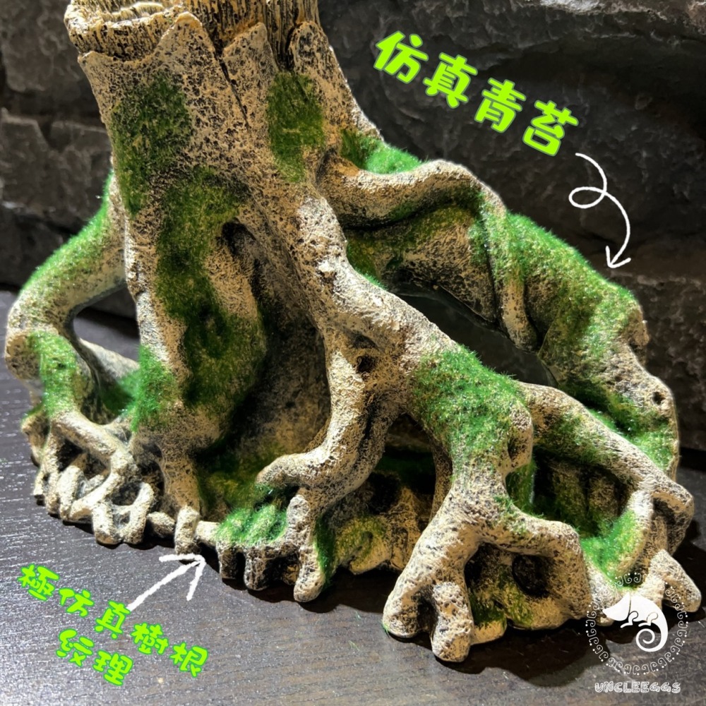 蛋叔叔-MR-造景樹根(大)/樹洞/魚缸造景/樹皮/守宮洞/守宮屋/洞穴/巨人守宮/睫角守宮/造景/樹洞/螯蝦/劍毒蛙-細節圖3