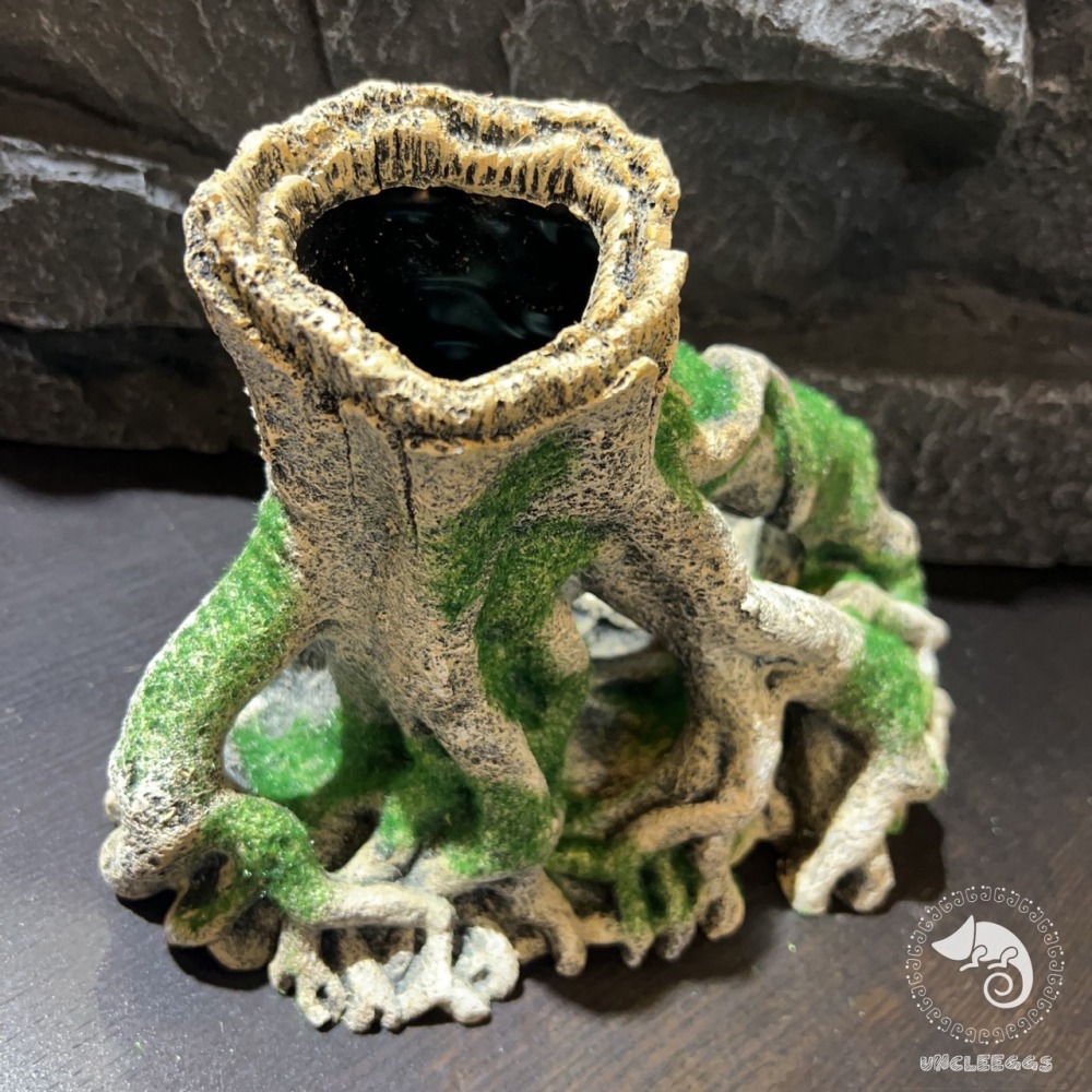 蛋叔叔-MR-造景樹根(大)/樹洞/魚缸造景/樹皮/守宮洞/守宮屋/洞穴/巨人守宮/睫角守宮/造景/樹洞/螯蝦/劍毒蛙-細節圖4