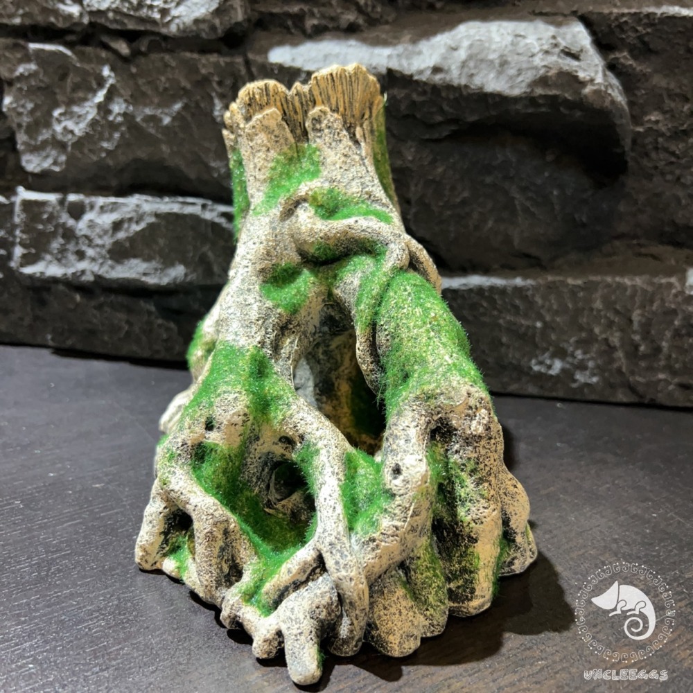 蛋叔叔-MR-造景樹根(大)/樹洞/魚缸造景/樹皮/守宮洞/守宮屋/洞穴/巨人守宮/睫角守宮/造景/樹洞/螯蝦/劍毒蛙-細節圖5