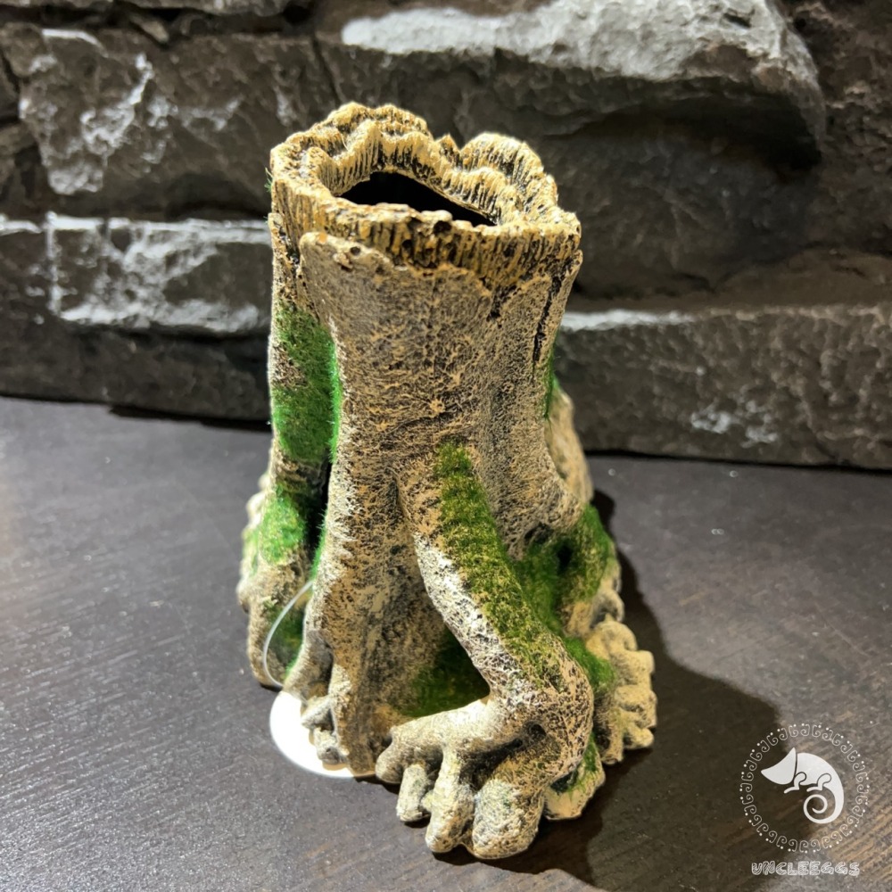 蛋叔叔-MR-造景樹根(大)/樹洞/魚缸造景/樹皮/守宮洞/守宮屋/洞穴/巨人守宮/睫角守宮/造景/樹洞/螯蝦/劍毒蛙-細節圖6
