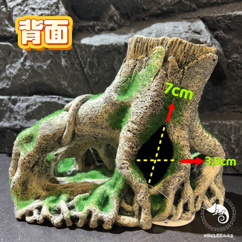 蛋叔叔-MR-造景樹根(大)/樹洞/魚缸造景/樹皮/守宮洞/守宮屋/洞穴/巨人守宮/睫角守宮/造景/樹洞/螯蝦/劍毒蛙-細節圖7